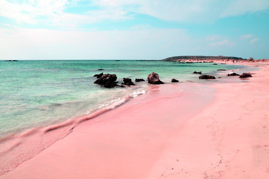 The Pink Sands Beach in the Bahamas