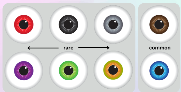 What’s the Rarest Eye Color You Can Have?