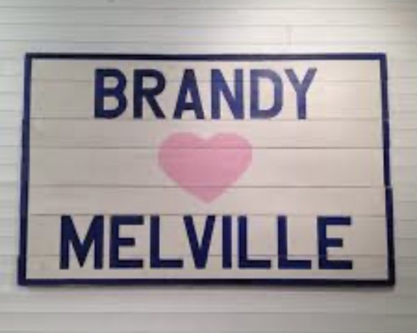 Brandy Melville and their Noninclusive Environment