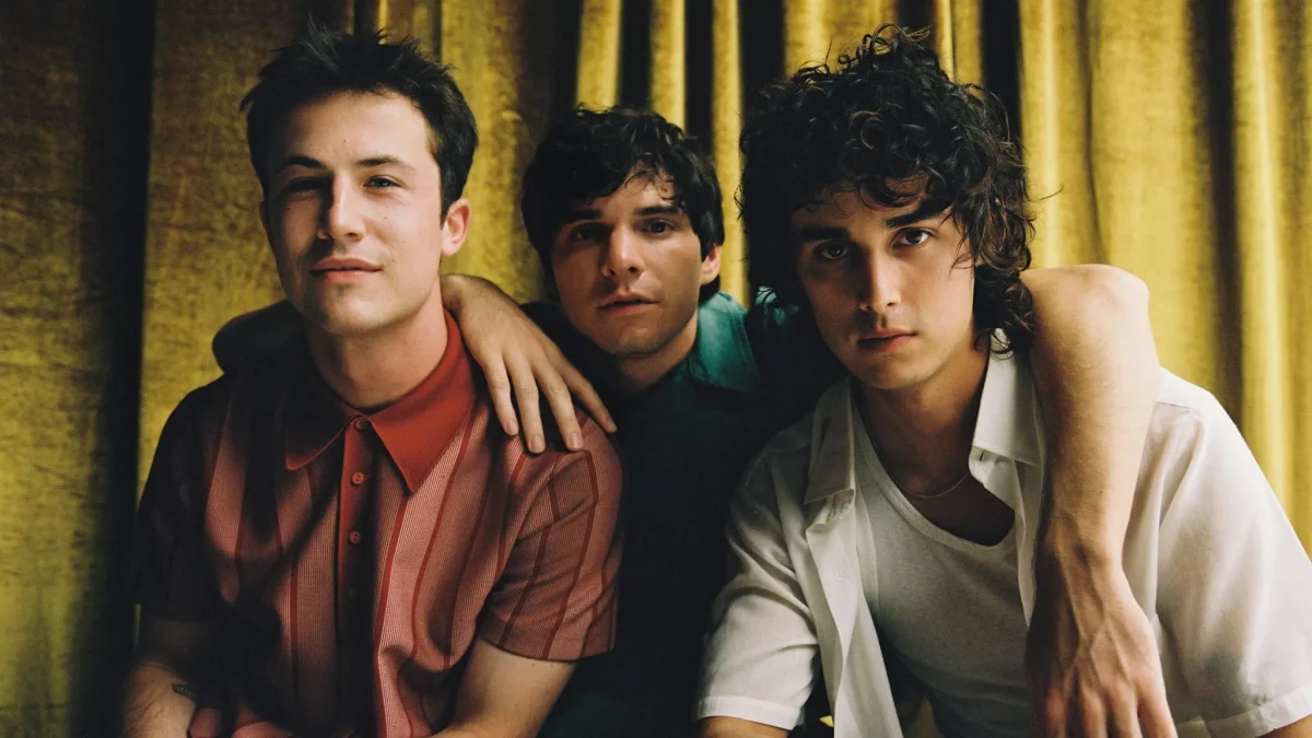 Who Are The Wallows?